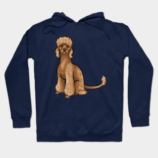 Cute Ginger Poodle Dog Hoodie